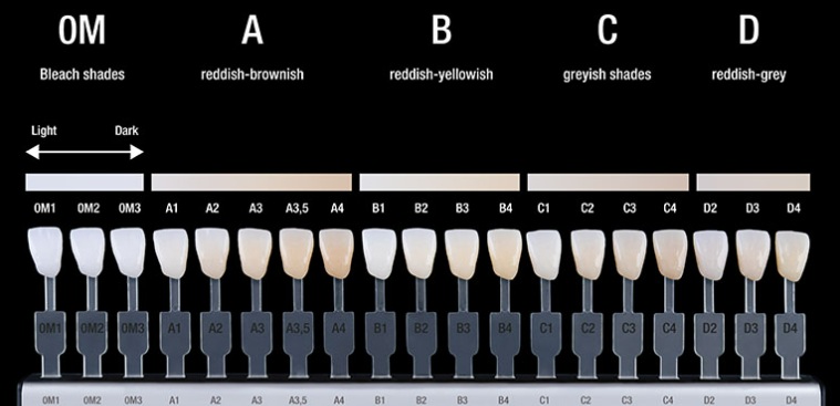 VITA 3D-Master shade guide showing bleach shades and the A, B, C and D shade groups from light to dark
